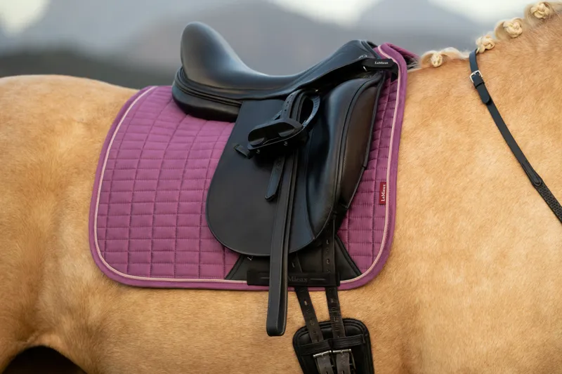 LeMieux Suede Dressage Square Mallow SS26