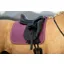 LeMieux Suede Dressage Square Mallow SS26