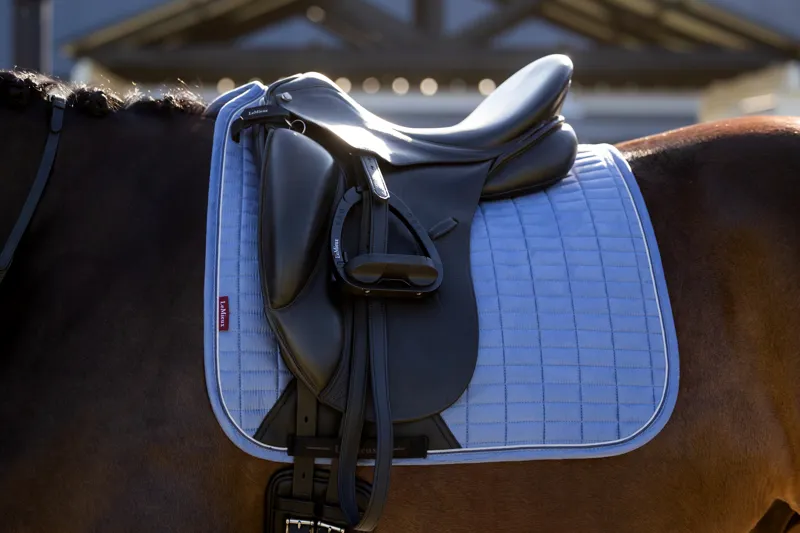 LeMieux Suede Dressage Square Powder Blue SS26