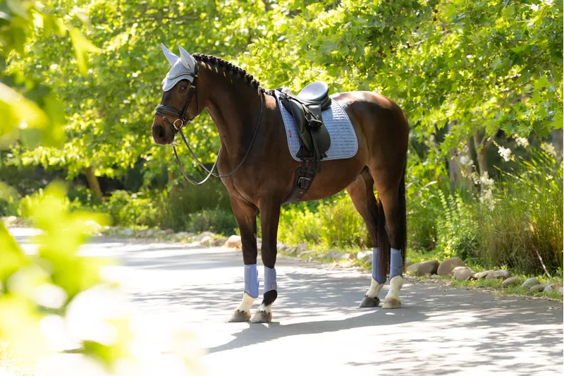 LeMieux Suede Dressage Square Powder Blue SS26-2