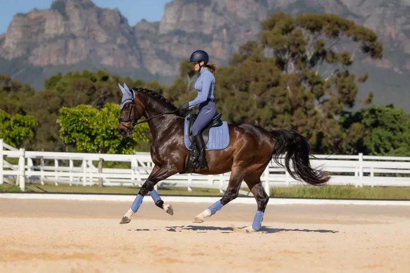 LeMieux Suede Dressage Square Powder Blue SS26-3