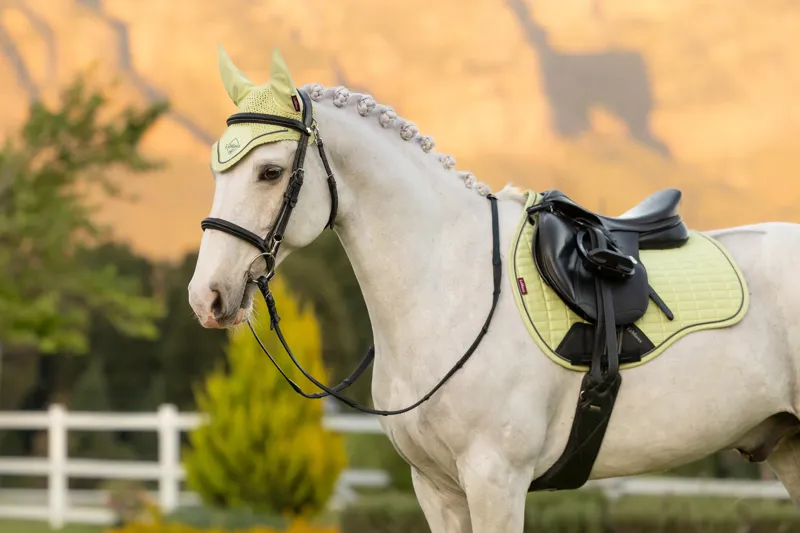 LeMieux Suede GP Square Macaron ss26-2