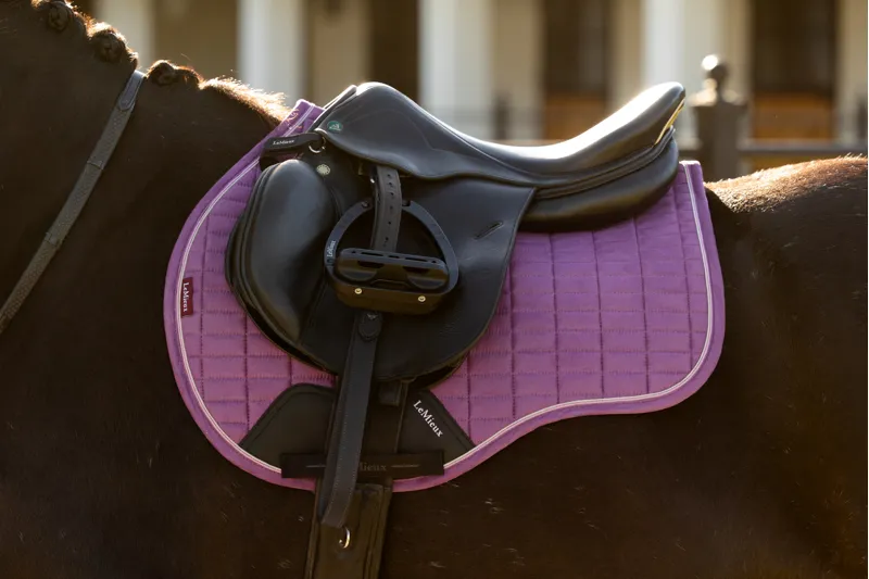 LeMieux Suede GP Square Mallow SS26