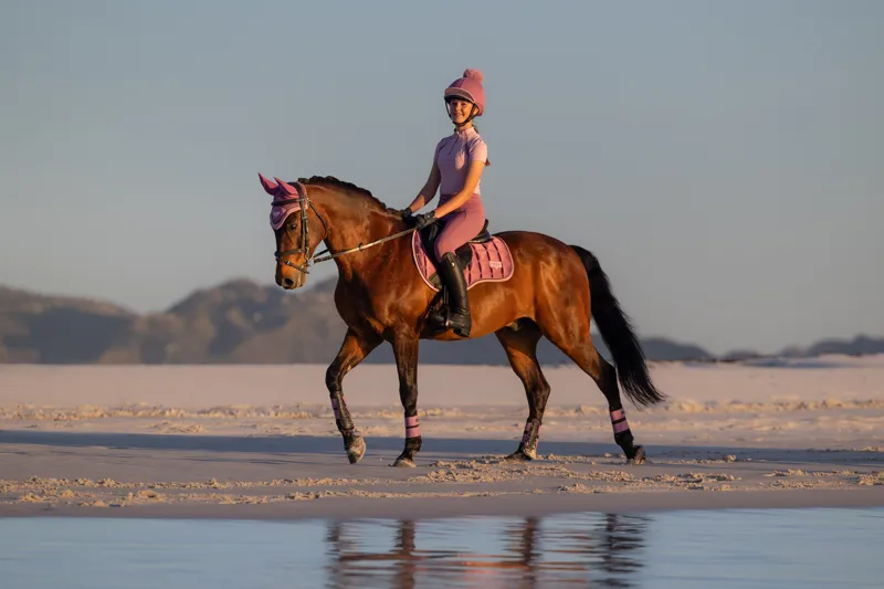 LeMieux Ladies Classique Short Sleeve Base Layer Fondant SS26-1
