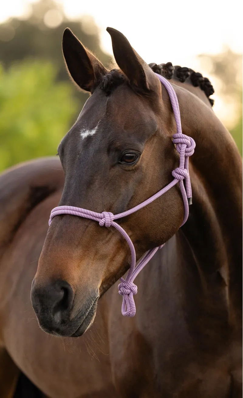 LeMieux Rope Halter Fondant