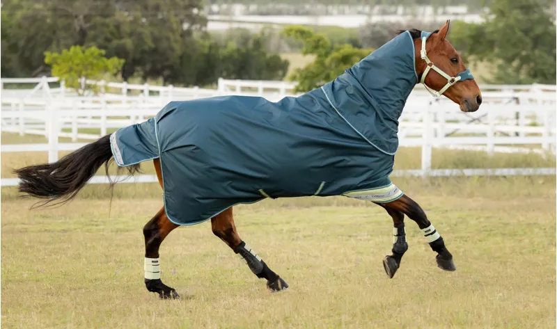 LeMieux Arika Ripstop 50g Turnout Rug Jungle-1