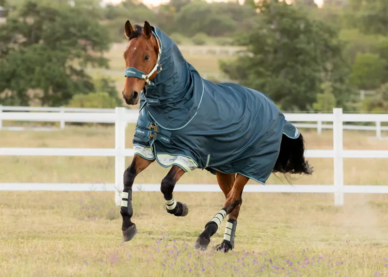 LeMieux Arika Ripstop 0g lightweight Turnout Rug Jungle-1