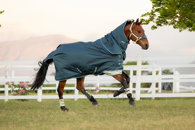 LeMieux Arika Ripstop 50g Turnout Rug Jungle