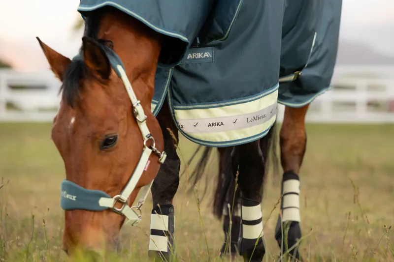 LeMieux Arika Ripstop 50g Turnout Rug Jungle-5