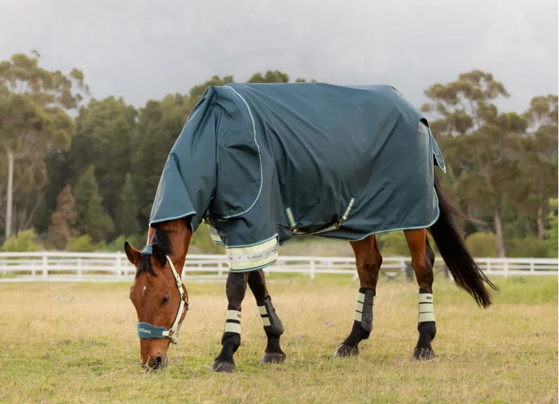 LeMieux Arika Ripstop 50g Turnout Rug Jungle-6