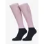 LeMieux Competition Socks 2 Pack Fondant SS26