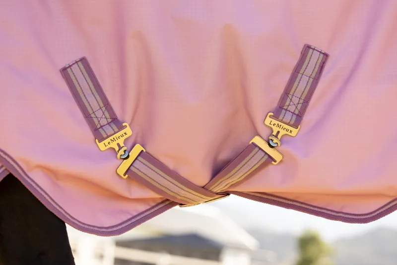 LeMieux Arika Ripstop 0g Lightweight Turnout Rug Fondant-3