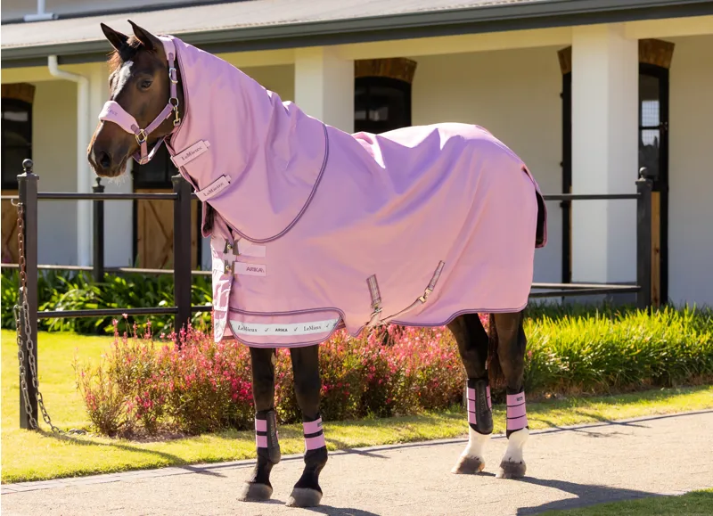 LeMieux Arika Ripstop 50g Turnout Rug Fondant-2