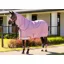 LeMieux Arika Ripstop 0g Lightweight Turnout Rug Fondant