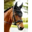 LeMieux Brilliance Fly Hood Black