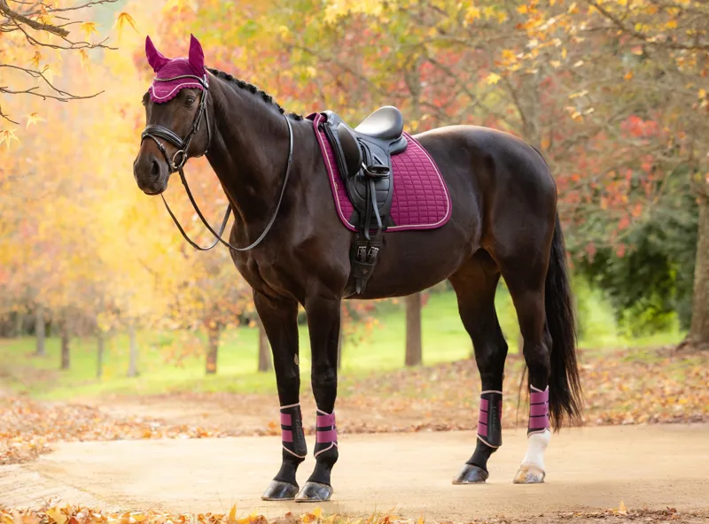 LeMieux Suede Dressage Square Blackberry-2