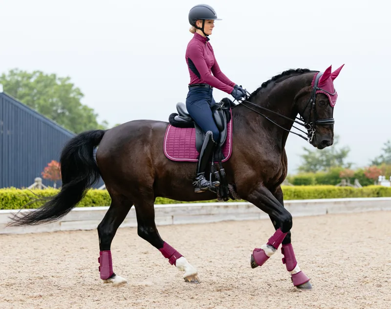 LeMieux Suede Dressage Square Blackberry-1