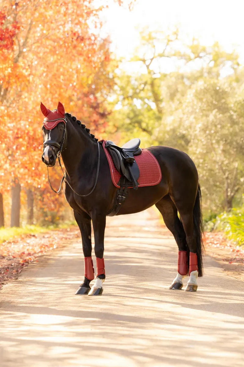 LeMieux Suede Dressage Square Russet-4