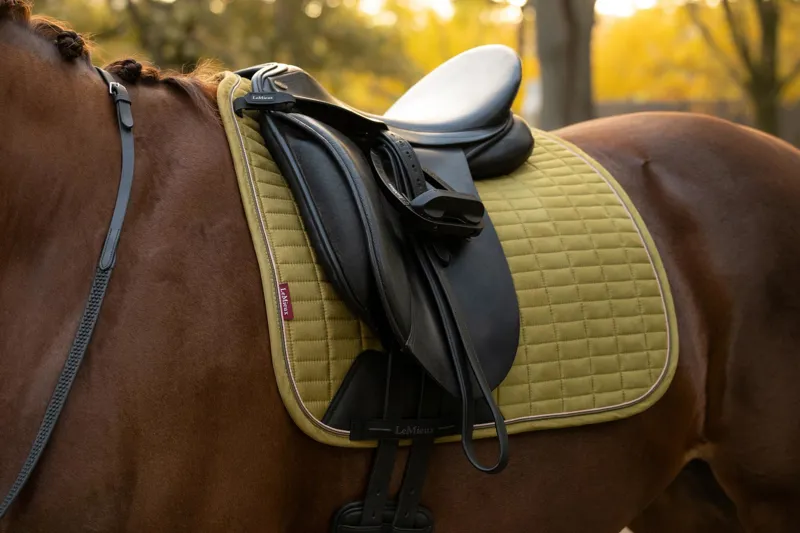 LeMieux Suede Dressage Square Gooseberry
