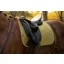 LeMieux Suede Dressage Square Gooseberry
