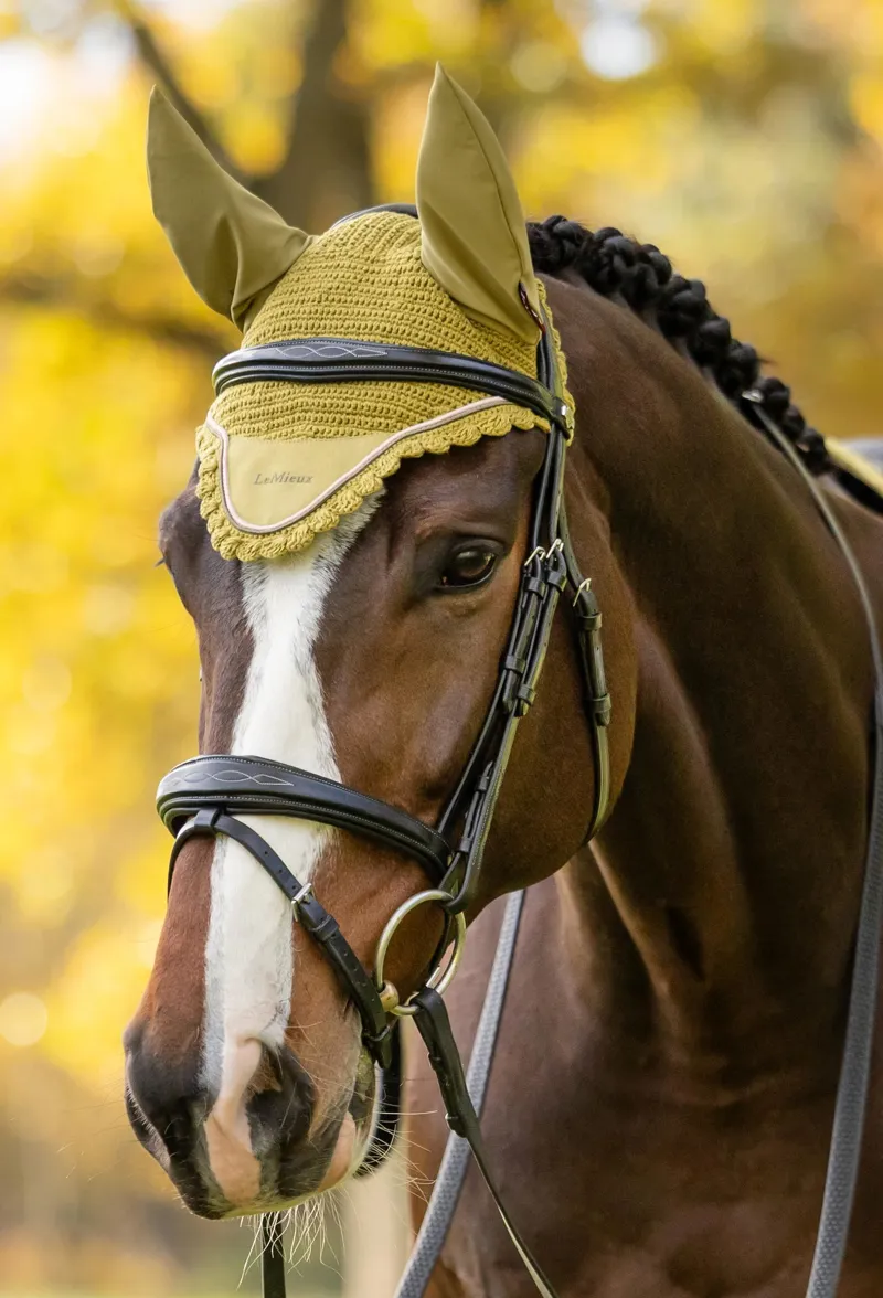 LeMieux Classic Fly Hood Gooseberry