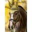 LeMieux Classic Fly Hood Gooseberry