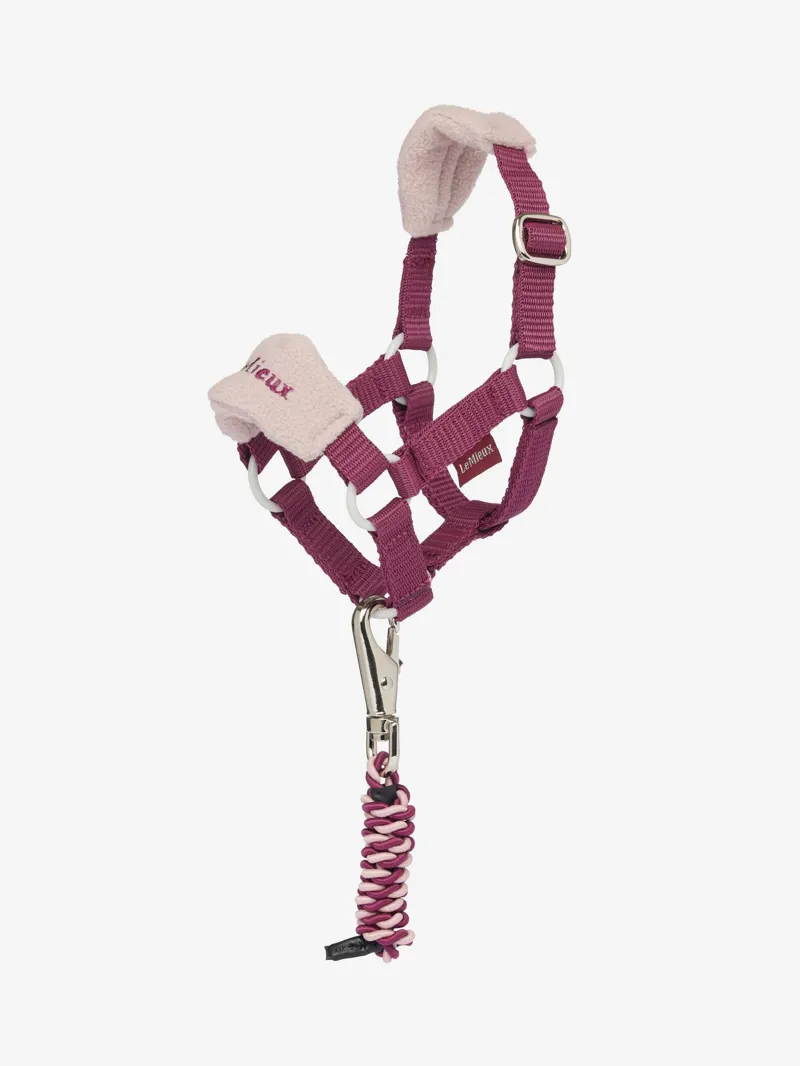 LeMieux Toy Pony Vogue Headcollar And Leadrope Blackberry