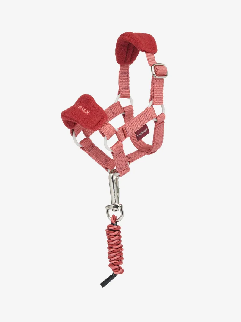 LeMieux Toy Pony Vogue Headcollar and Leadrope Spiced Earth
