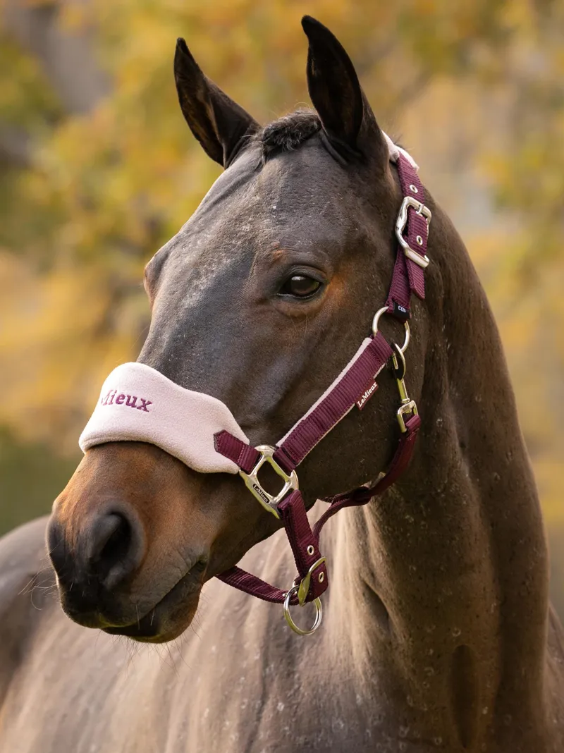 LeMieux Vogue Headcollar And Lead Rope Blackberry
