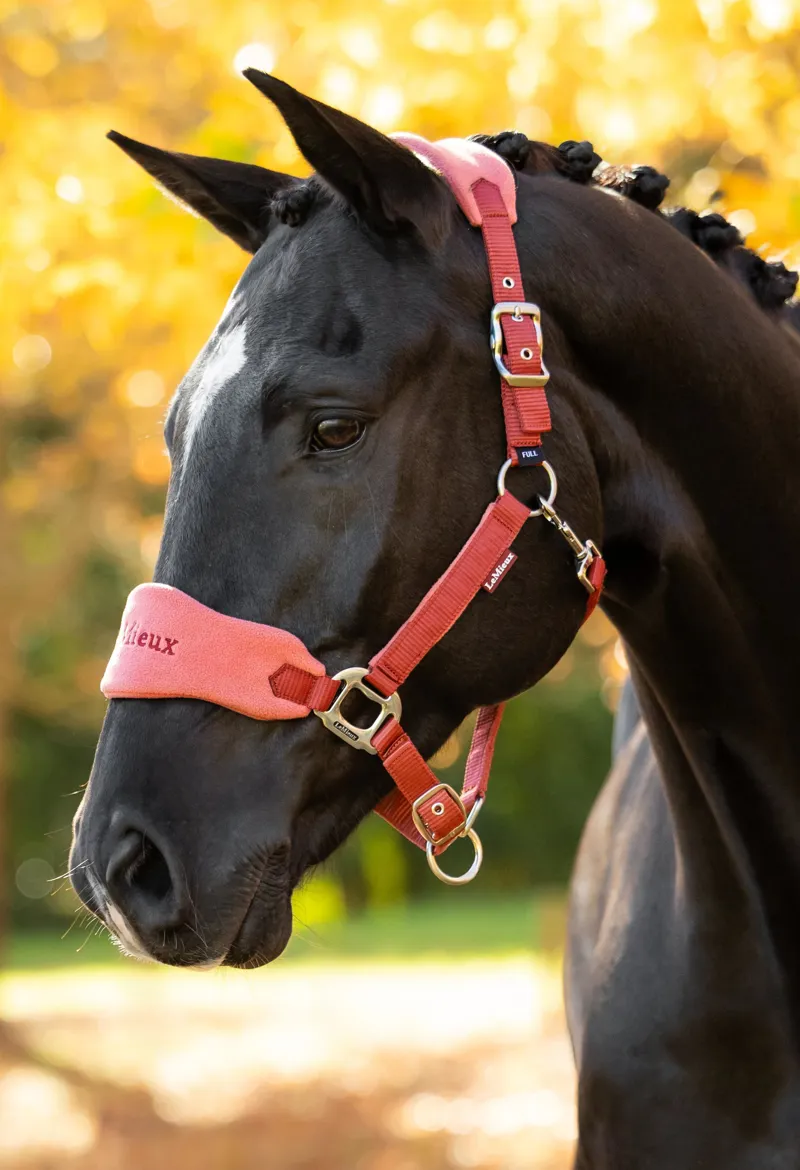 LeMieux Vogue Headcollar And Lead Rope Russet
