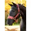 LeMieux Vogue Headcollar And Lead Rope Russet