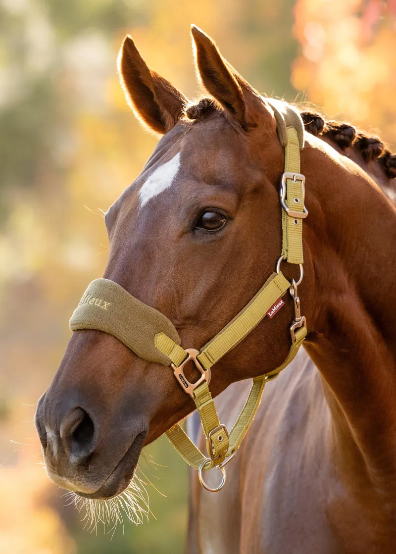 LeMieux Vogue Headcollar And Lead Rope Gooseberry