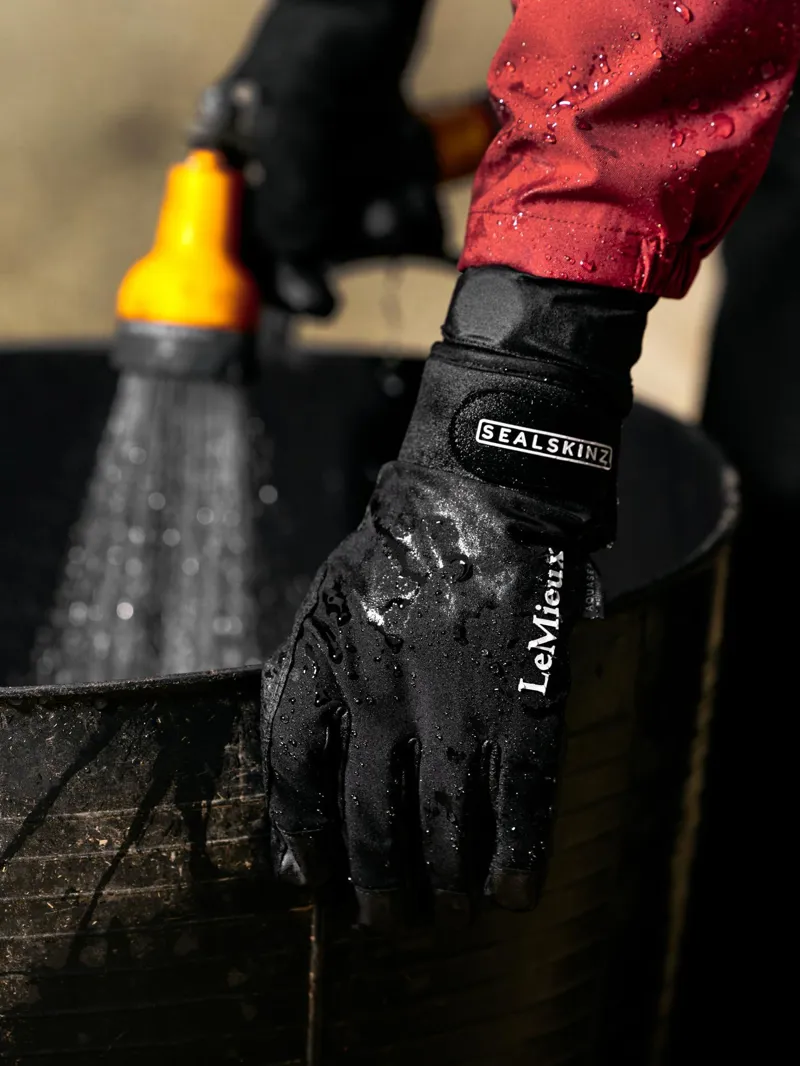 LeMieux X Sealskinz Waterproof Glove Black