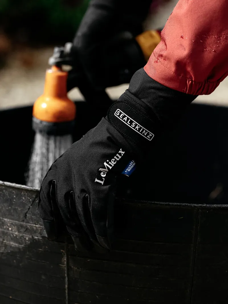 LeMieux X Sealskinz Waterproof Glove Black-1