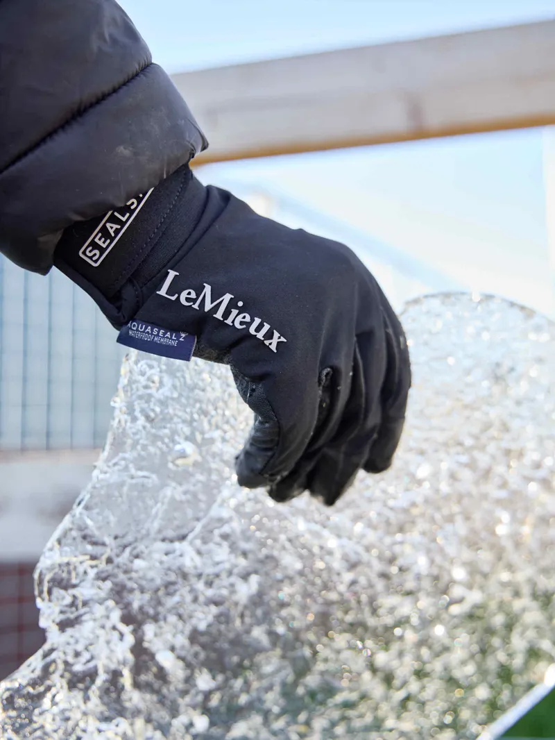 LeMieux X Sealskinz Waterproof Glove Black-2