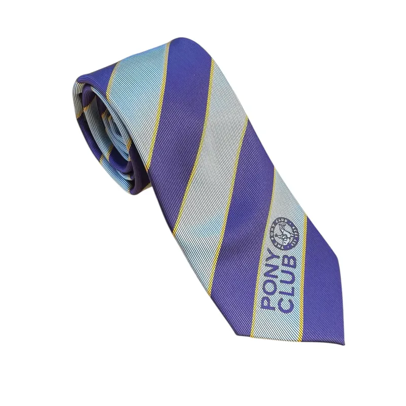 Equetech Junior Official Pony Club Ready Tied Stock Grey/Purple/Gold Check