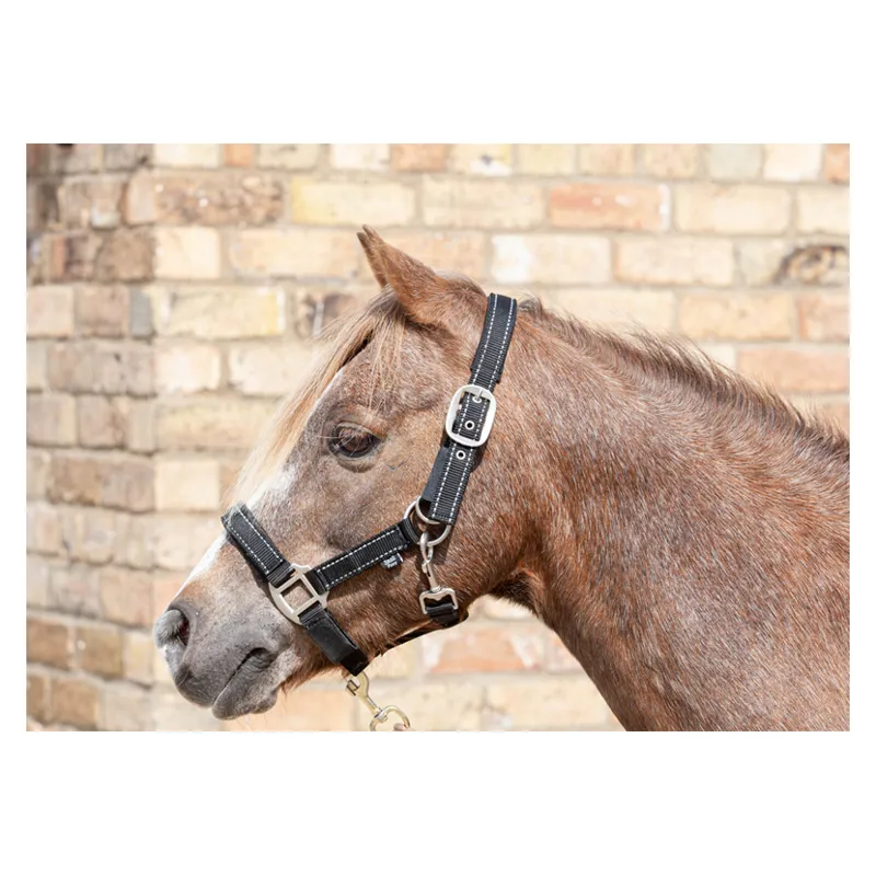 Cameo Fieldsafe Headcollar Black-1