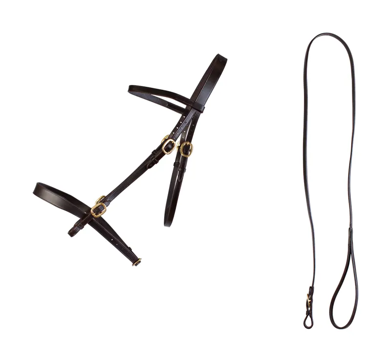 Cameo In Hand Bridle And Lead Brown-1