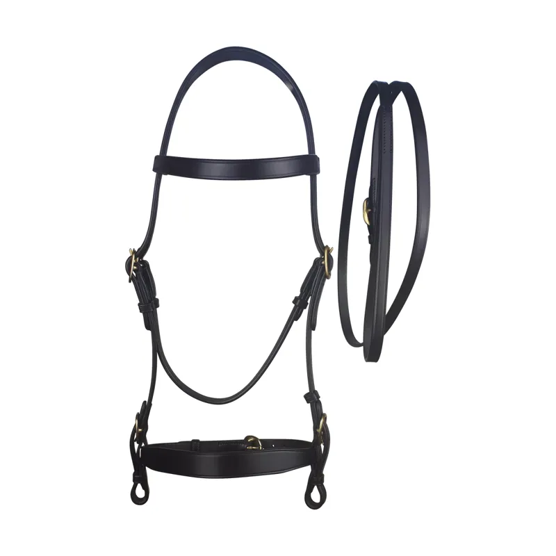 Cameo In Hand Bridle And Lead Brown