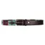Hy Equestrian Synergy Collection Polo Belt Aqua/Fig
