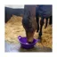 Red Gorilla Plas Feed Skip S1 Small Purple