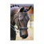 Equilibrium Net Relief Riding Muzzle White