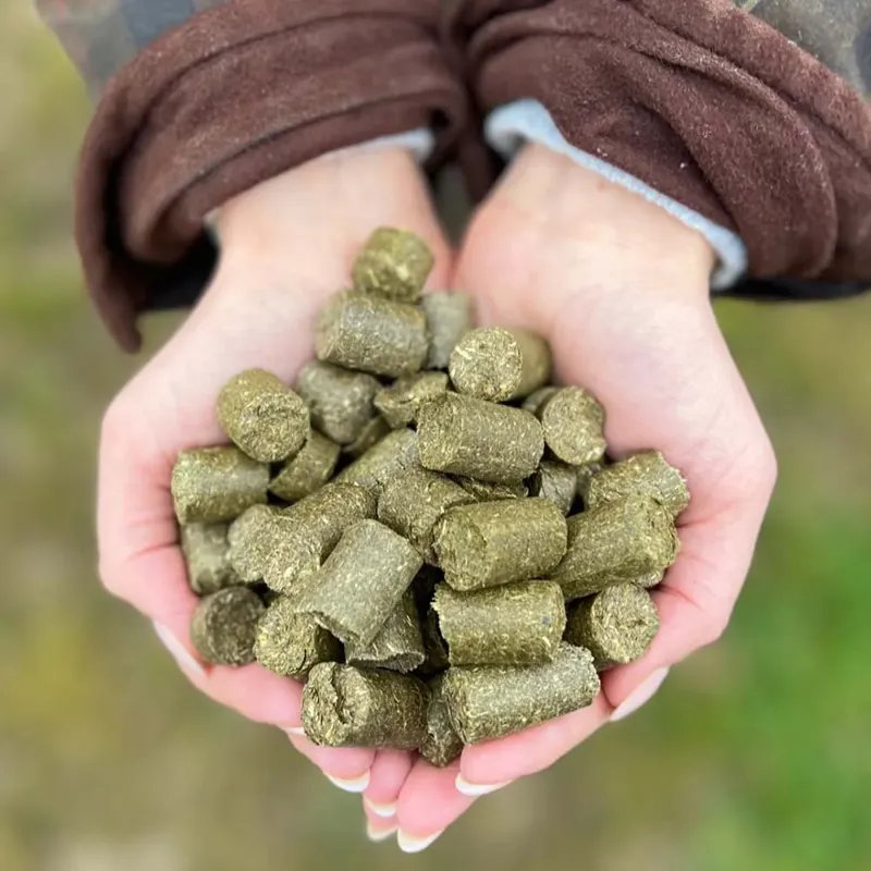 Silvermoor Eco Treatsies Gorgeous Grass 1kg-1