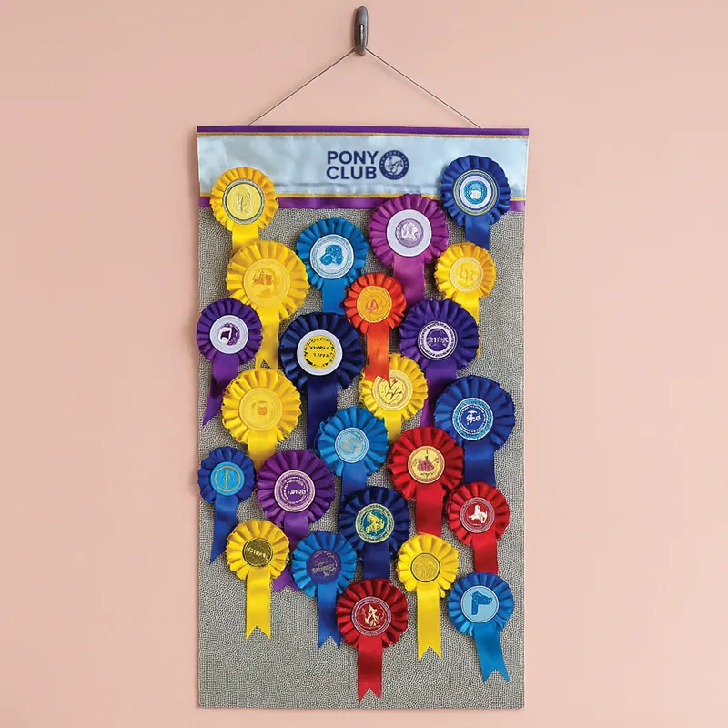 Equetech Official Pony Club Rosette Holder Display Hanger