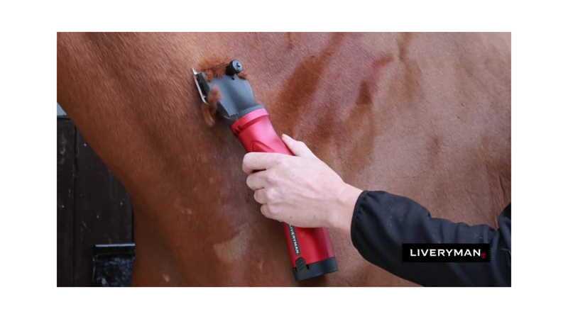 Liveryman Phoenix Clippers Battery Operated-4