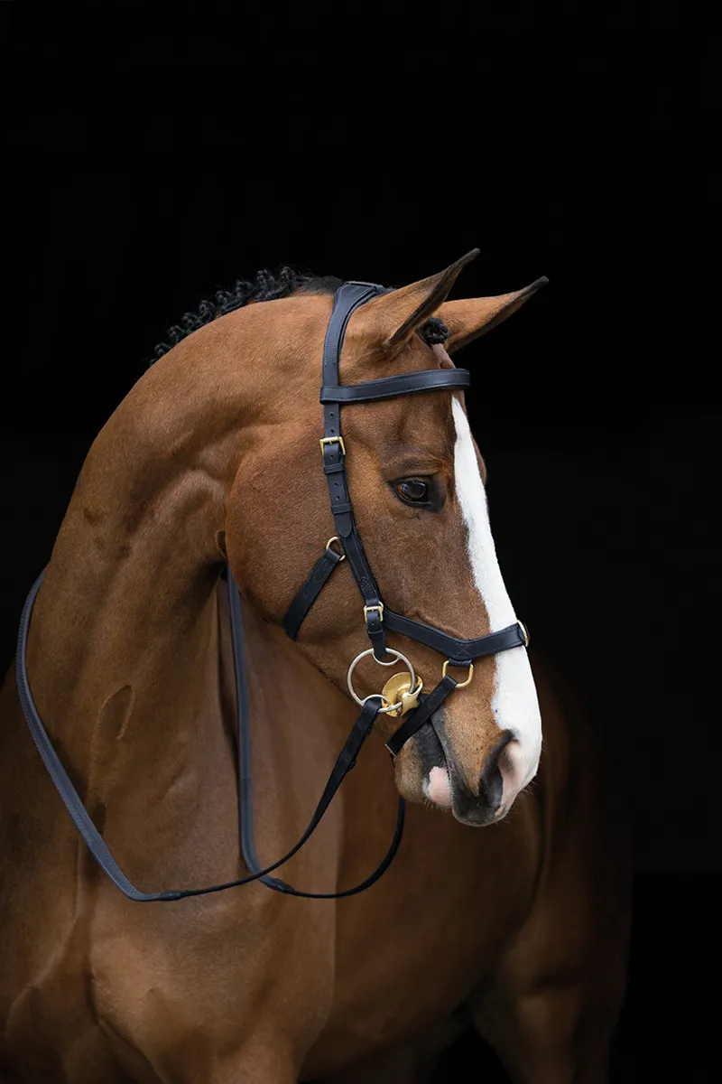 Micklem Bit Clip 4 Pack-1