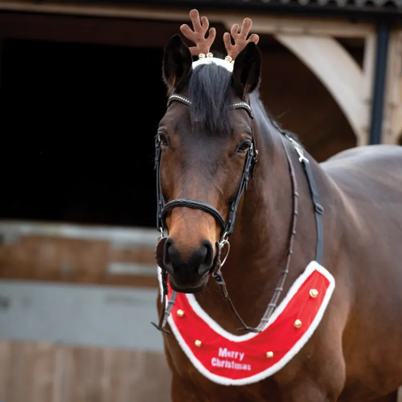 Equetech Reindeer Bridle Accessory-1