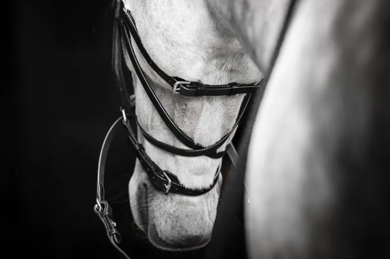 Horseware Micklem Bitless Bridle Black-1