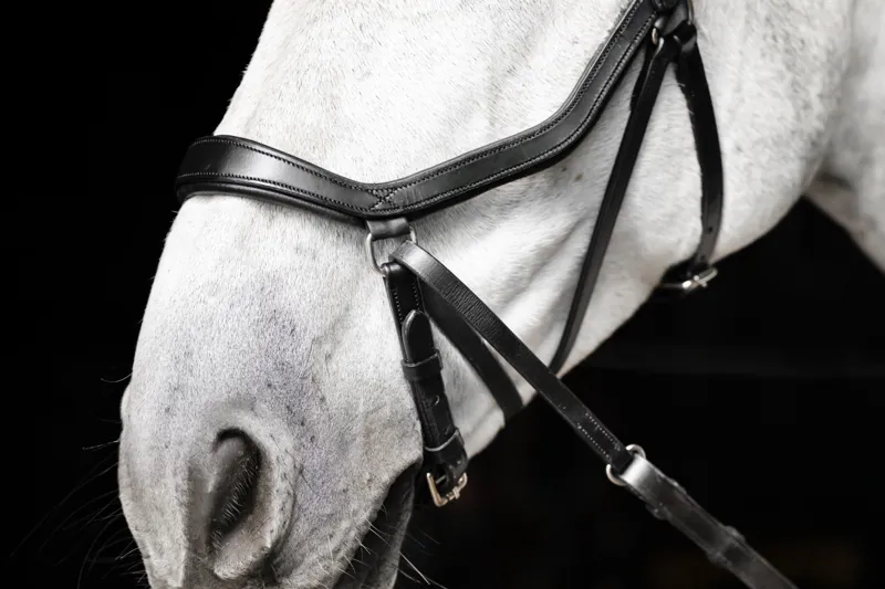 Horseware Micklem Bitless Bridle Black-2