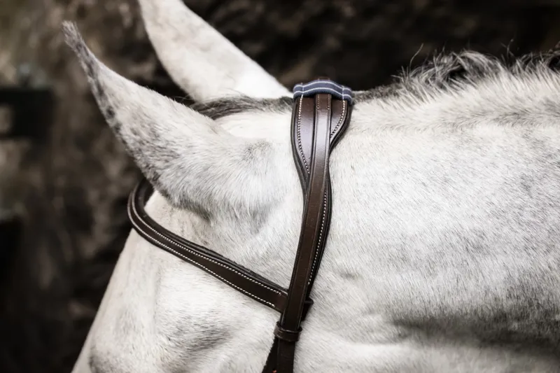 Horseware Micklem Bitless Bridle Brown-3